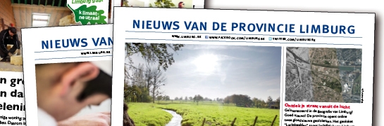 Compilatie van een aantal lokale infobladen met nieuwspagina van de provincie Limburg
